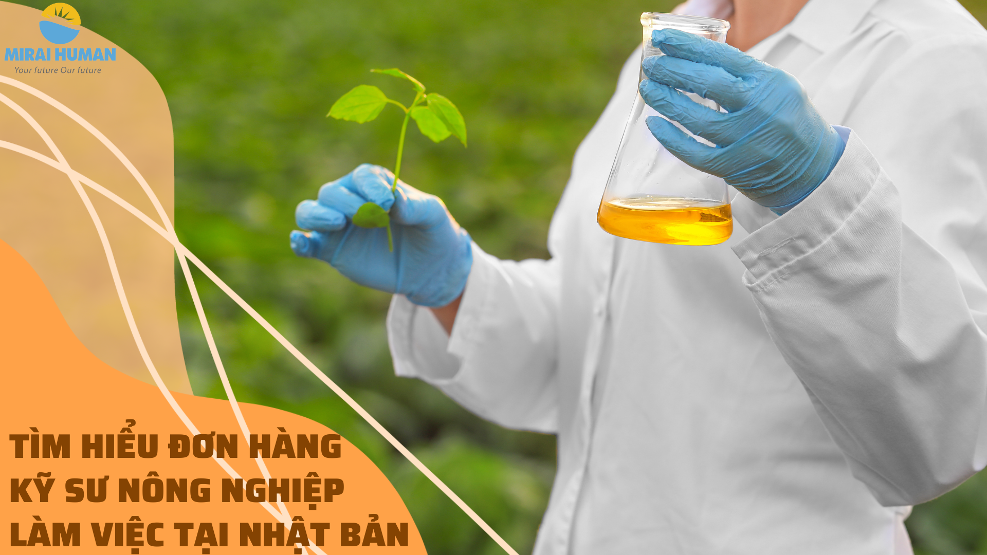 lao động Nhật Bản